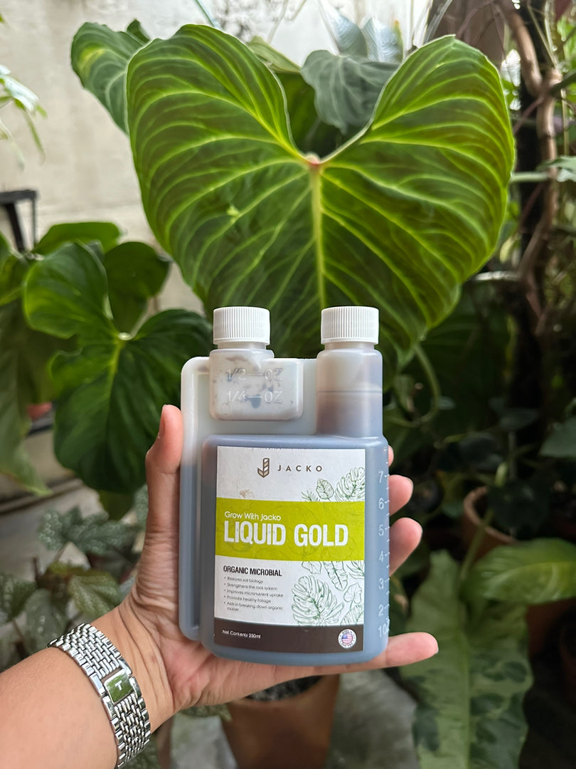 Jacko Customer 5 stars Review on Liquid Gold