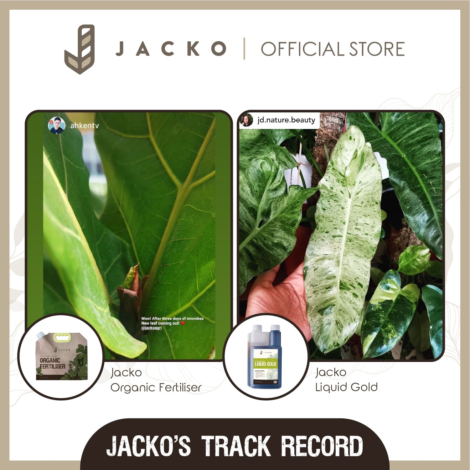 Jacko Black Gold Result Foliage Root System