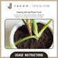 【Organic Gardener's Combo】 Jacko Liquid Gold + Jacko Organic Fertiliser